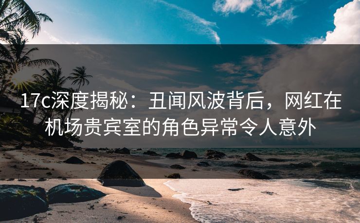 17c深度揭秘：丑闻风波背后，网红在机场贵宾室的角色异常令人意外