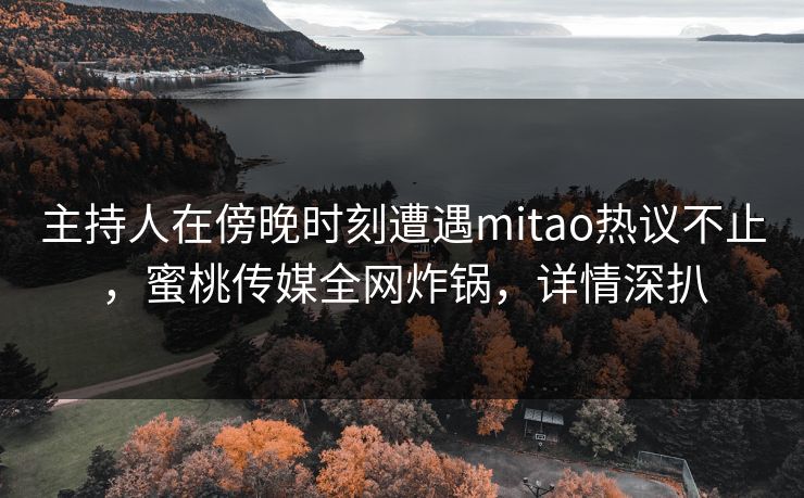 主持人在傍晚时刻遭遇mitao热议不止,蜜桃传媒全网炸锅,详情深扒 第1张 主持人在傍晚时刻遭遇mitao热议不止,蜜桃传媒全网炸锅,详情深扒 第1张